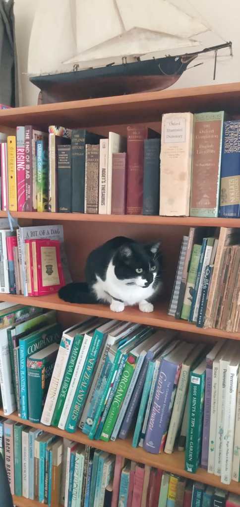 The Importance of an Education