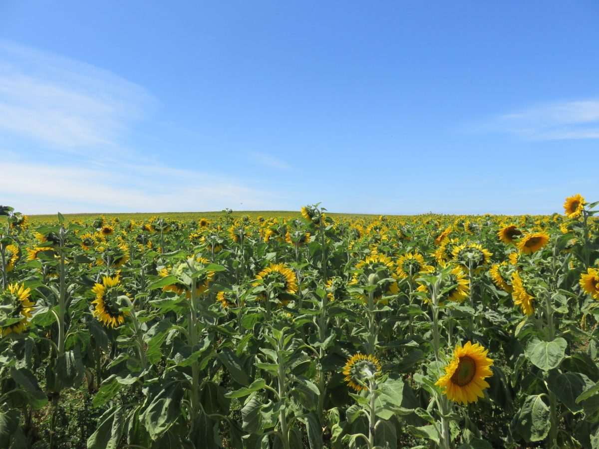 Justice & the International Criminal Court&nbsp;(ICC)