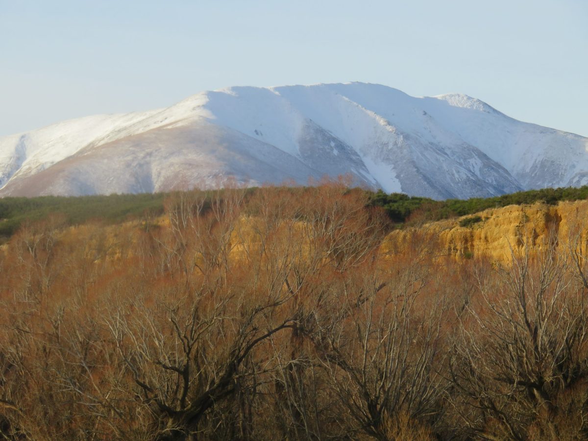 That ‘Deal of the&nbsp;Century’