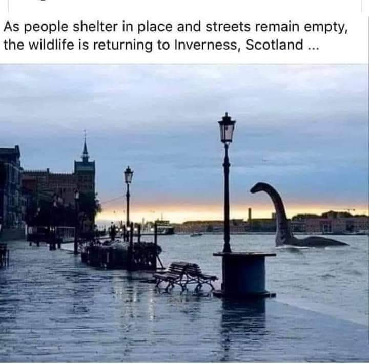 Human Crises & Saving the&nbsp;Planet