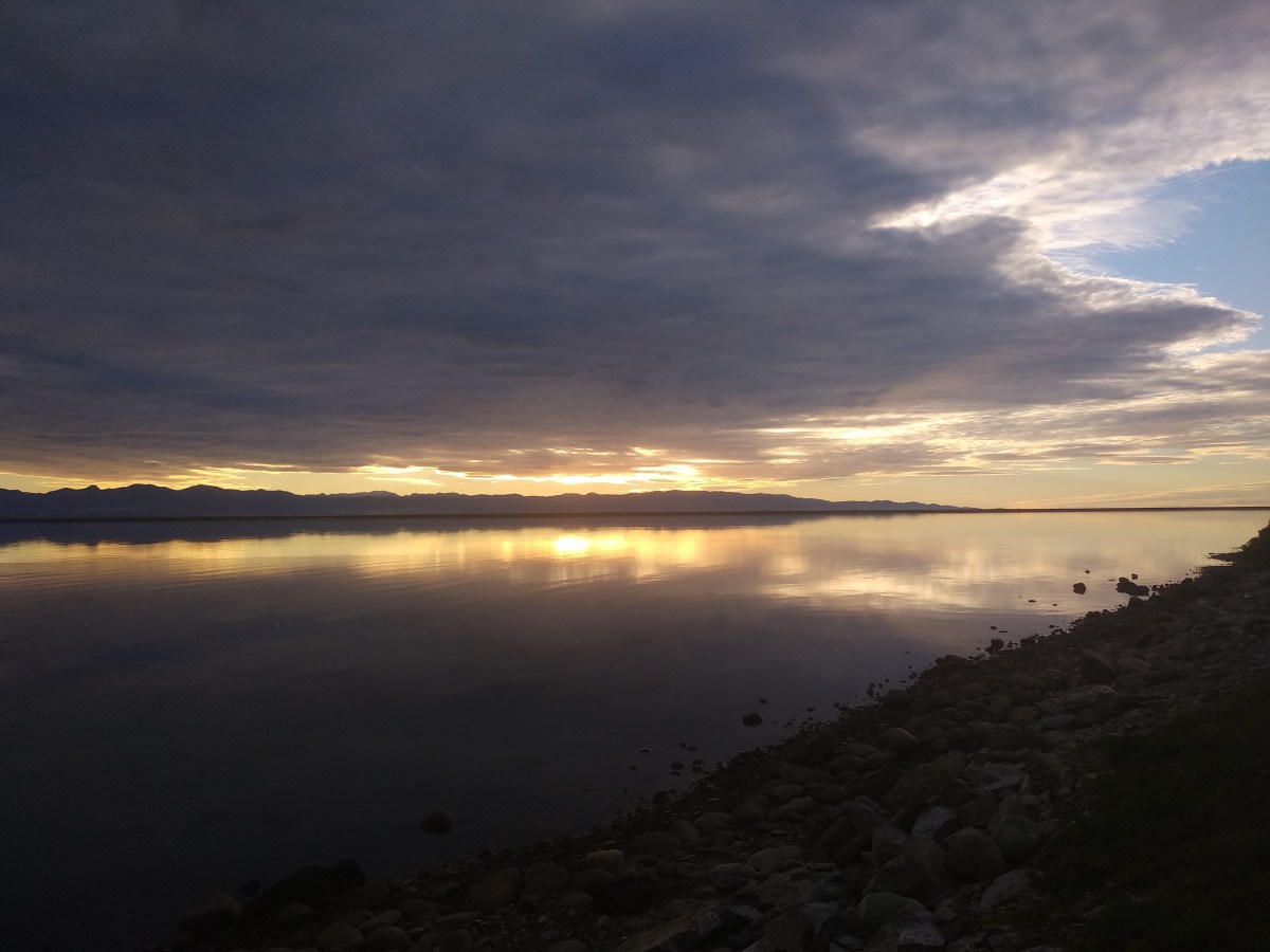 “Cosying up to China’s communist&nbsp;rulers”