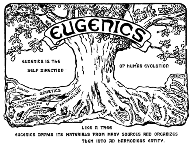 Ukraine and the&nbsp;NeoNazis