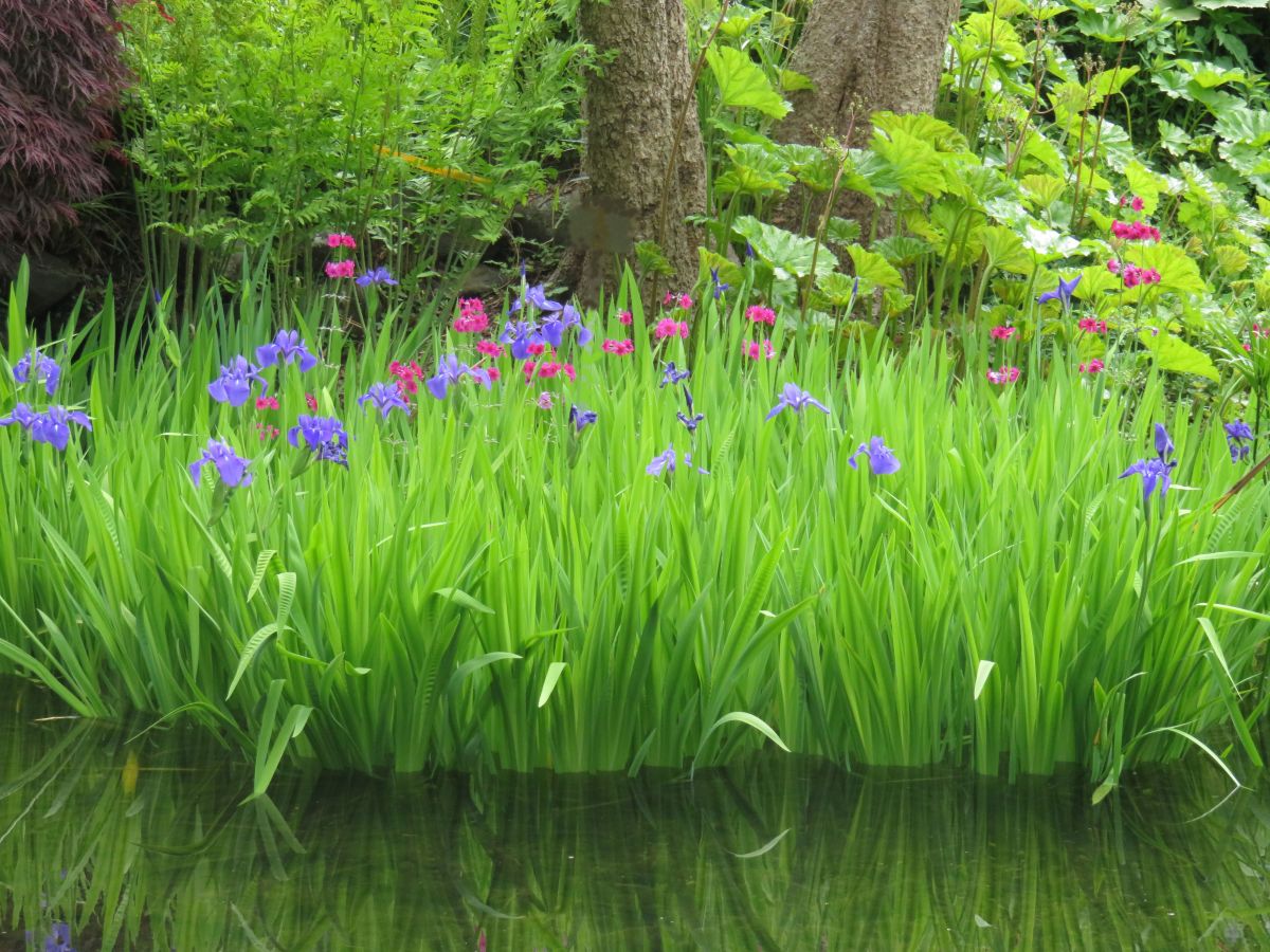 What’s left of Our&nbsp;World