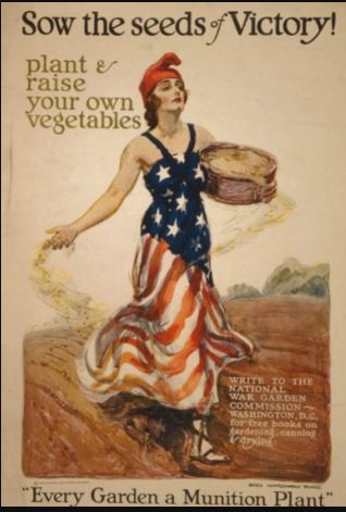 Sow the seeds - US war poster