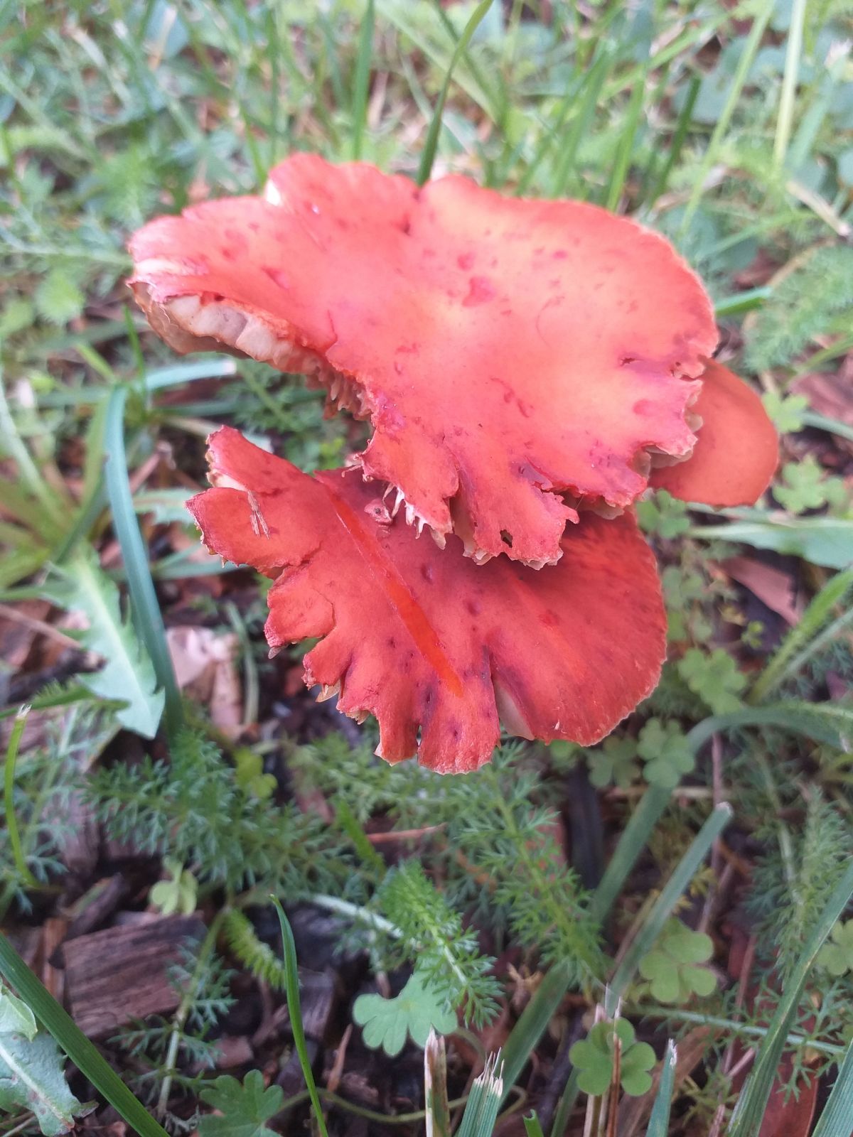 A Saner New&nbsp;World