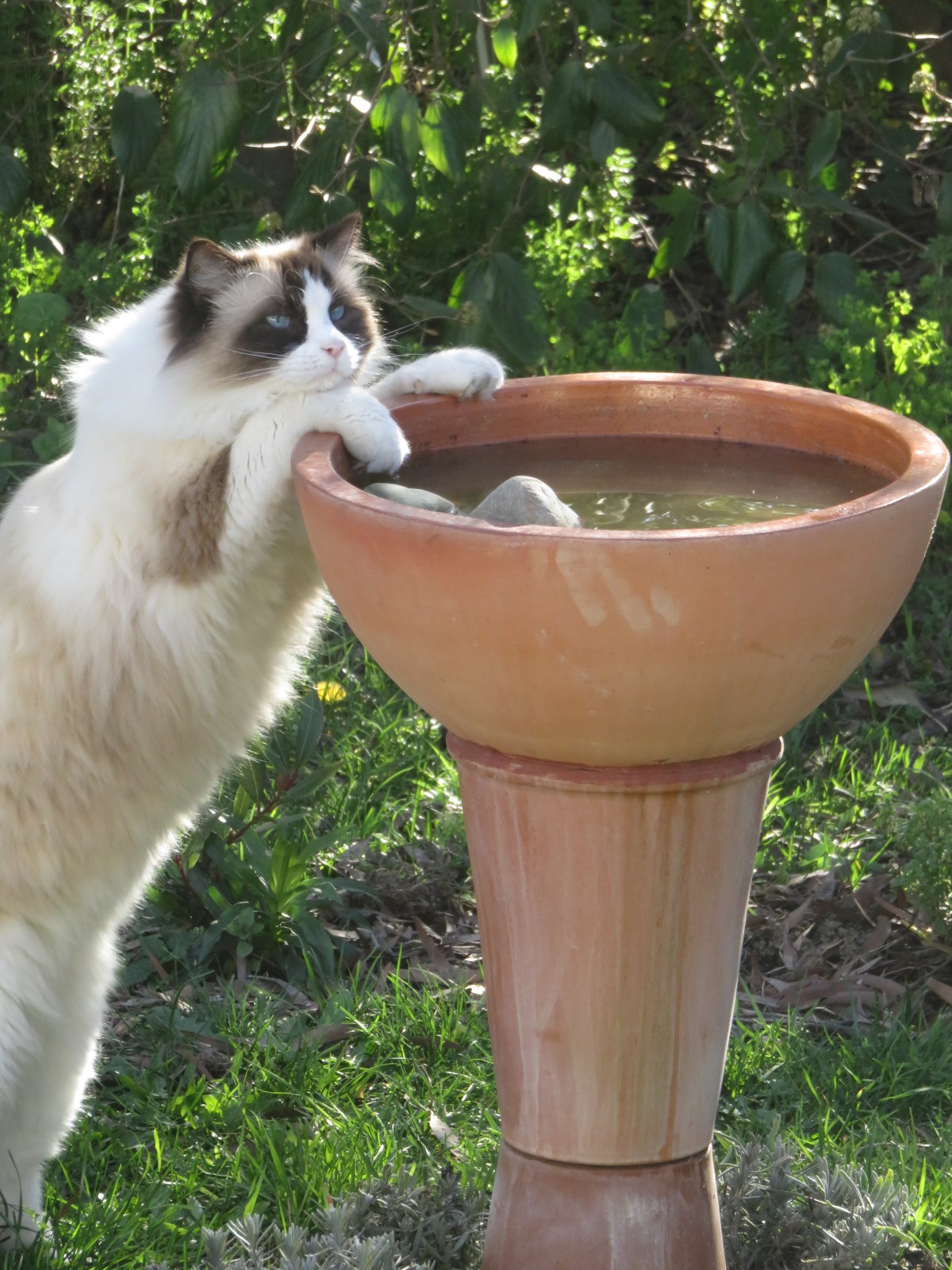 A Few Little Pieces of Gold and&nbsp;Silver